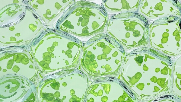 Biomolecules, Biosubstances, Biotechnology